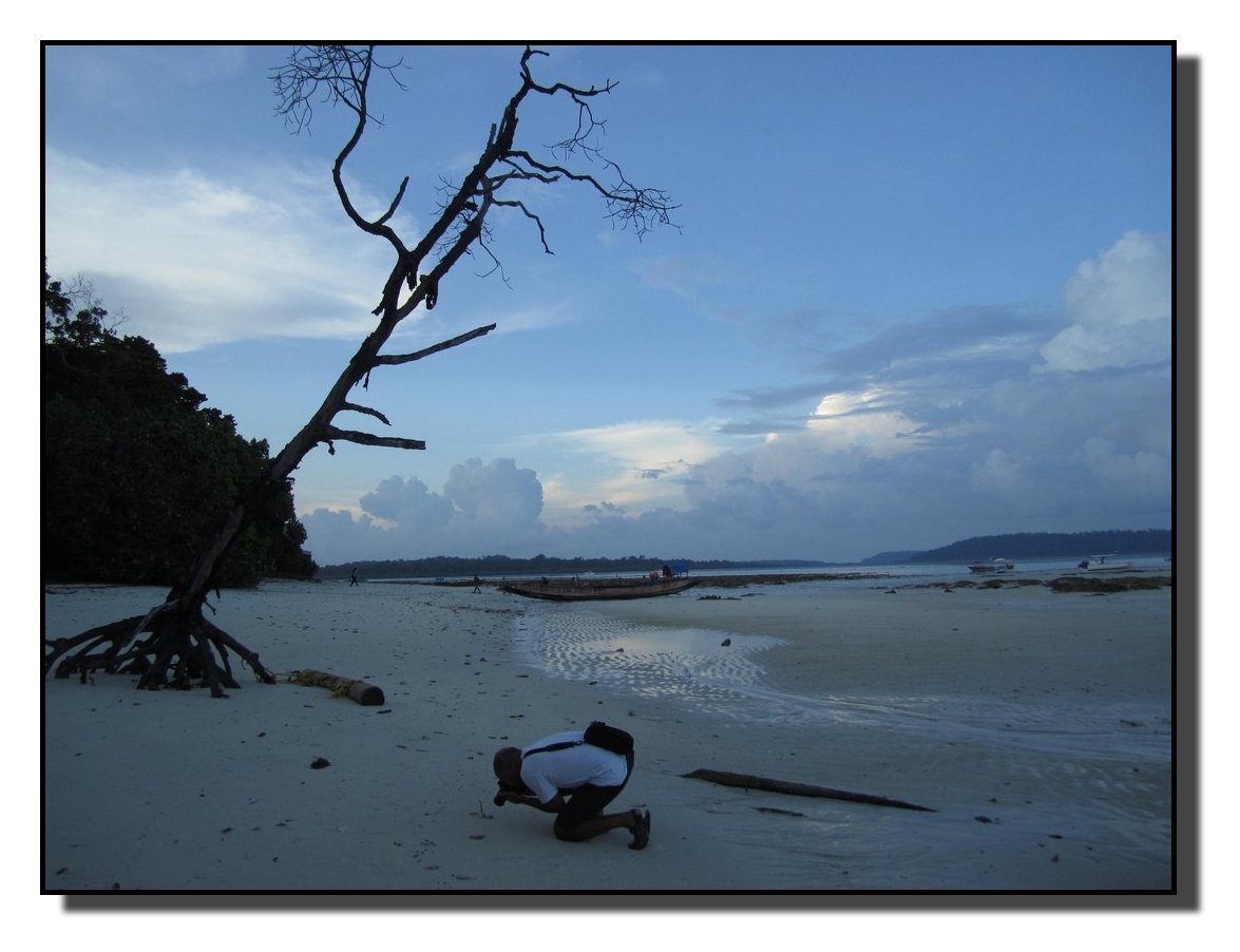 Diving in the Andamans
