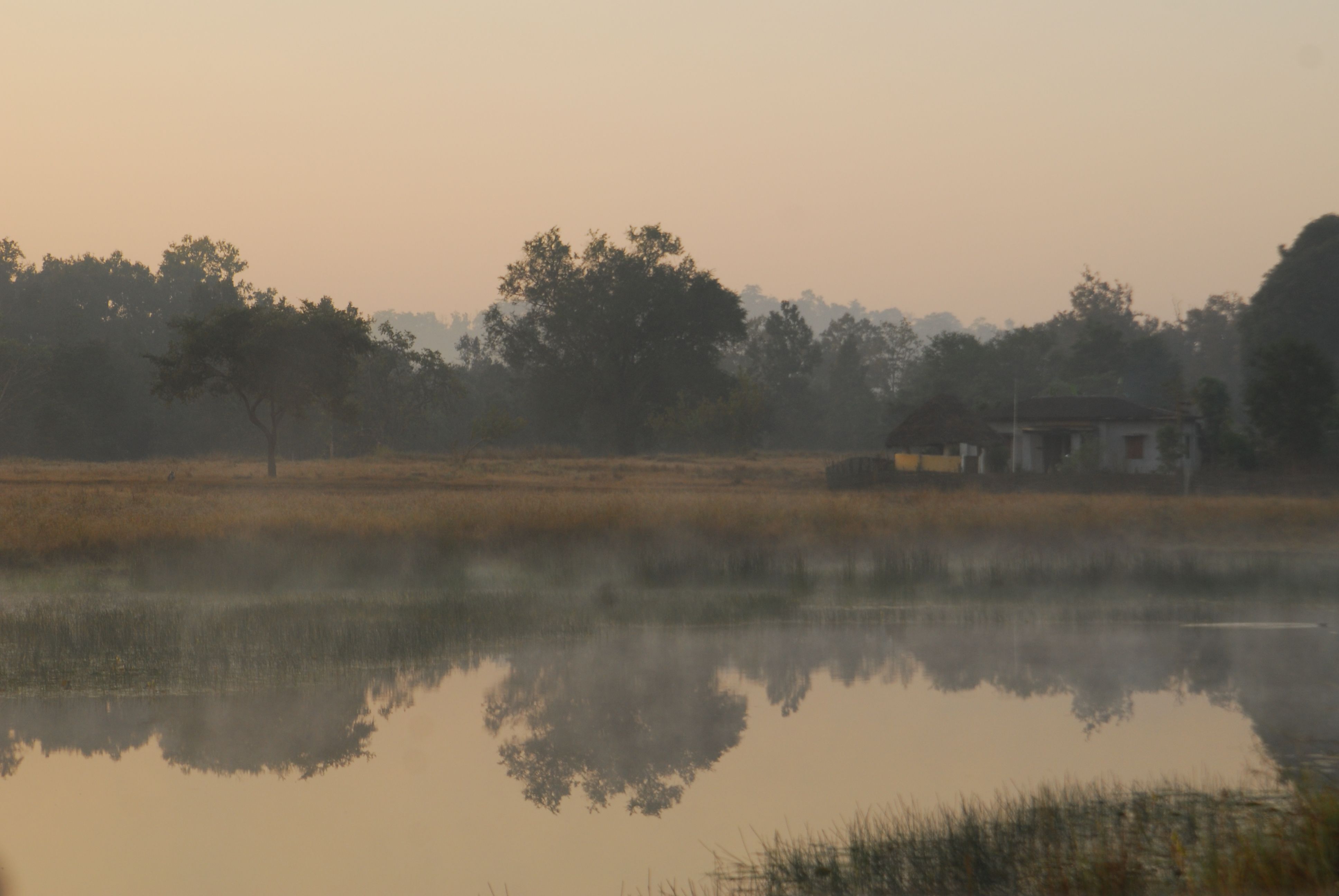 Bitten by the travel bug